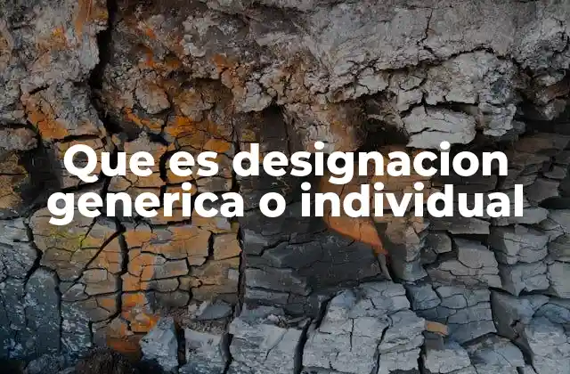Que es Designacion Generica o Individual