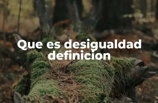 Que es Desigualdad Definicion