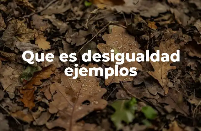 Diferentes formas en que se manifiesta la desigualdad