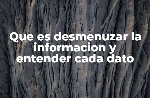 Que es Desmenuzar la Informacion y Entender Cada Dato