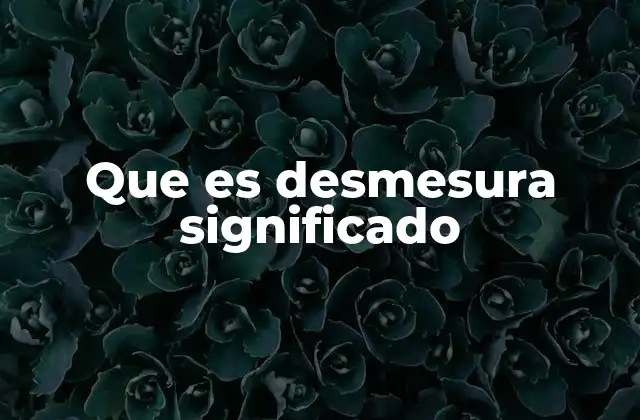 Que es Desmesura Significado