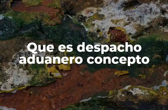 Que es Despacho Aduanero Concepto