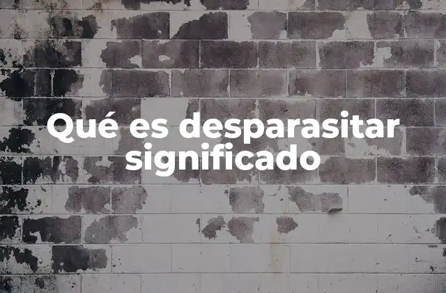 Qué es Desparasitar Significado 2 La importancia del desparasitado en la salud animal