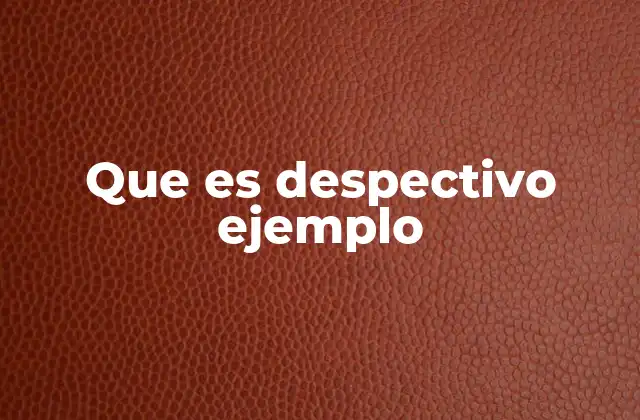 Que es Despectivo Ejemplo