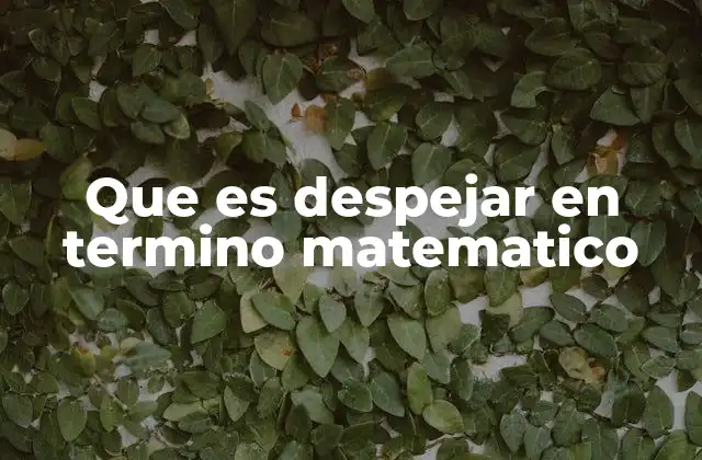 Que es Despejar en Termino Matematico
