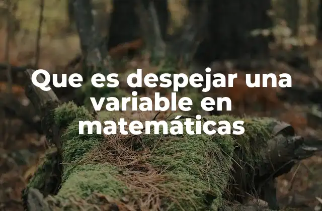 Que es Despejar una Variable en Matemáticas