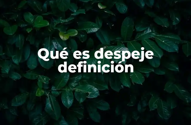 Qué es Despeje Definición