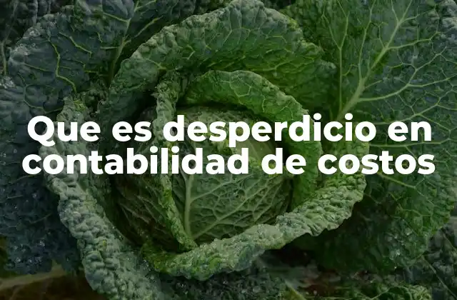 Que es Desperdicio en Contabilidad de Costos