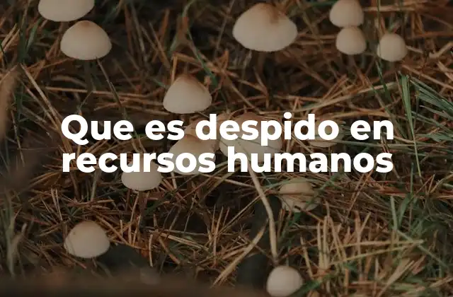 Que es Despido en Recursos Humanos