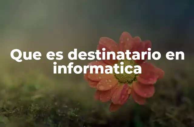 Que es Destinatario en Informatica