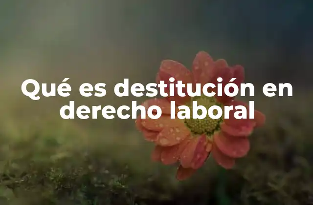 Qué es Destitución en Derecho Laboral
