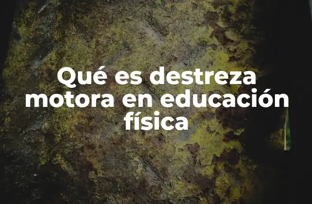 Qué es Destreza Motora en Educación Física