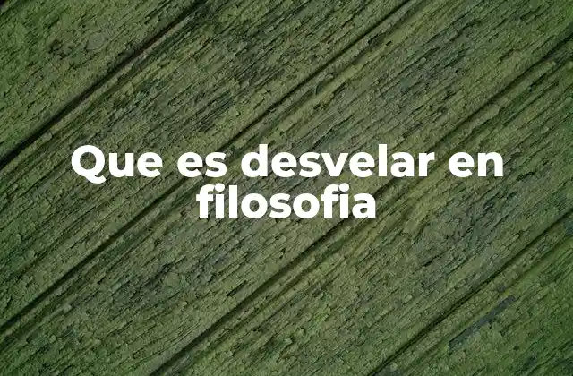 Que es Desvelar en Filosofia