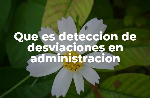 Que es Deteccion de Desviaciones en Administracion