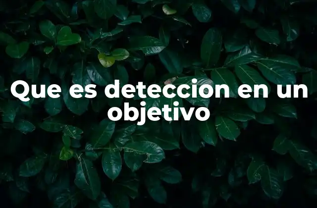 Que es Deteccion en un Objetivo