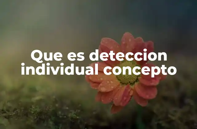Que es Deteccion Individual Concepto