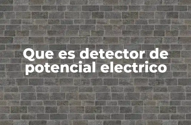 Que es Detector de Potencial Electrico