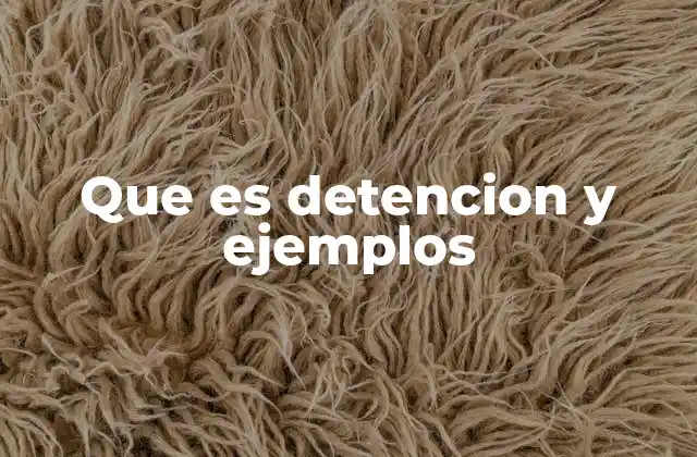 Que es Detencion y Ejemplos