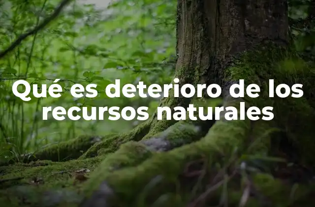 Causas y consecuencias del deterioro ambiental