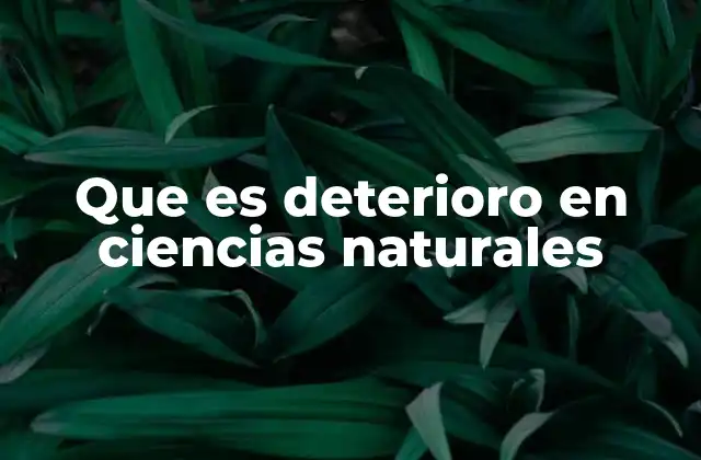 Que es Deterioro en Ciencias Naturales