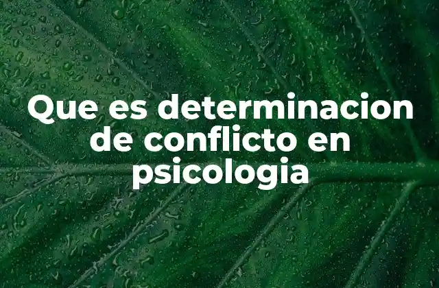 Que es Determinacion de Conflicto en Psicologia