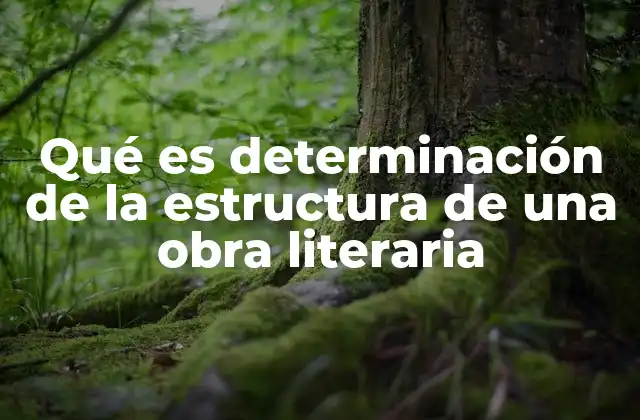 Qué es Determinación de la Estructura de una Obra Literaria