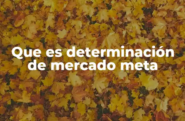 Que es Determinación de Mercado Meta