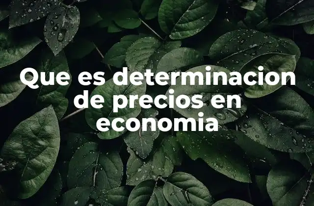 Que es Determinacion de Precios en Economia