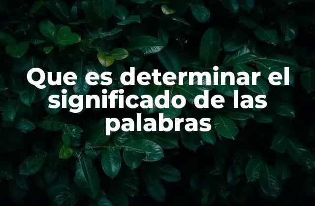 Que es Determinar el Significado de las Palabras