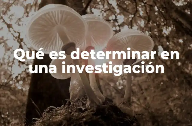 Qué es Determinar en una Investigación