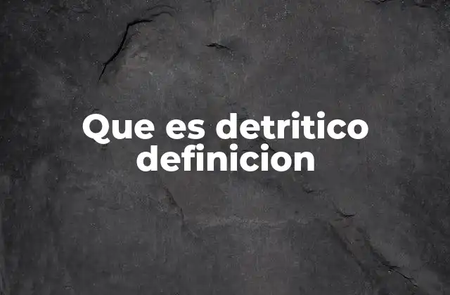 Que es Detritico Definicion