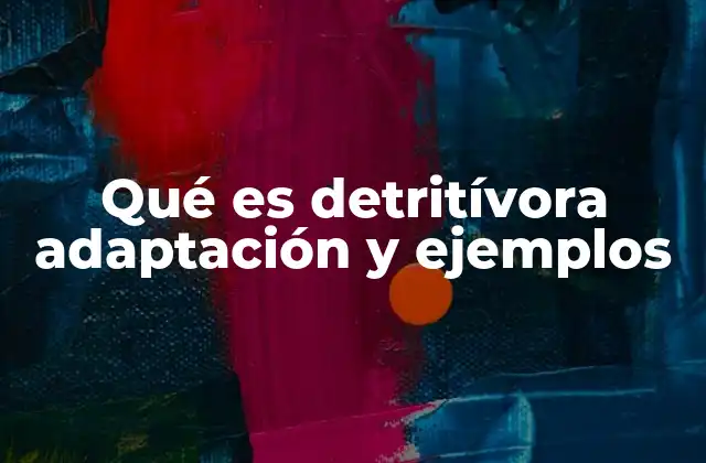 Qué es Detritívora Adaptación y Ejemplos