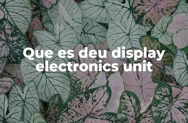Que es Deu Display Electronics Unit