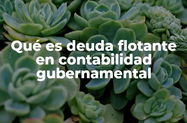 Qué es Deuda Flotante en Contabilidad Gubernamental