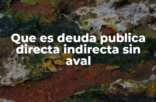 Que es Deuda Publica Directa Indirecta sin Aval