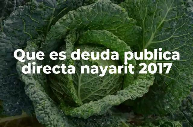 Que es Deuda Publica Directa Nayarit 2017 2 La importancia de la deuda pública en la gestión estatal