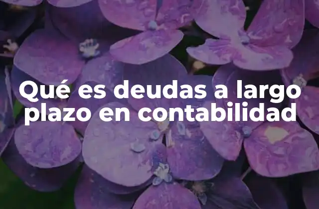 Qué es Deudas a Largo Plazo en Contabilidad