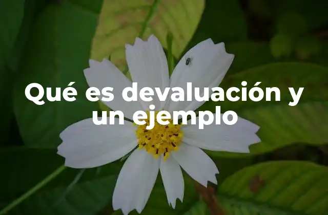 Qué es Devaluación y un Ejemplo