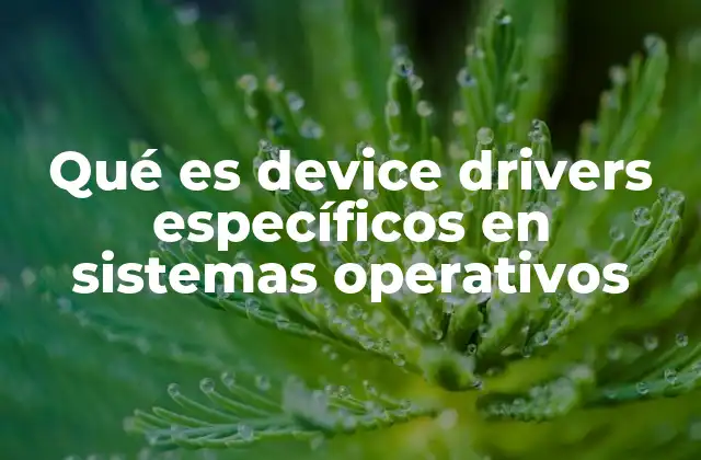 Qué es Device Drivers Específicos en Sistemas Operativos