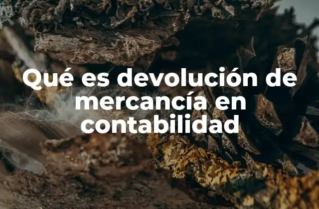 El impacto de las devoluciones en los estados financieros