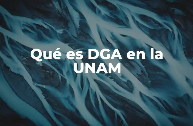 El papel del DGA en la gestión universitaria