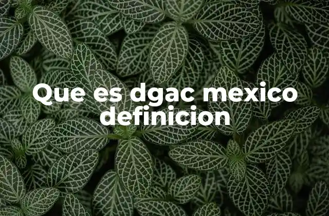 Que es Dgac Mexico Definicion