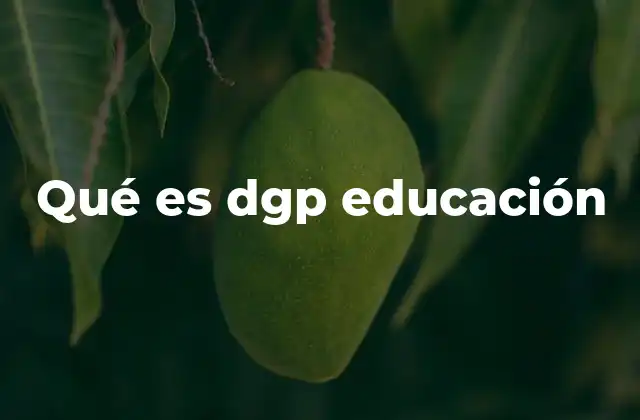 Qué es Dgp Educación