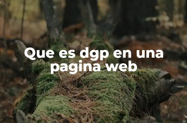 El papel de las siglas en el desarrollo web