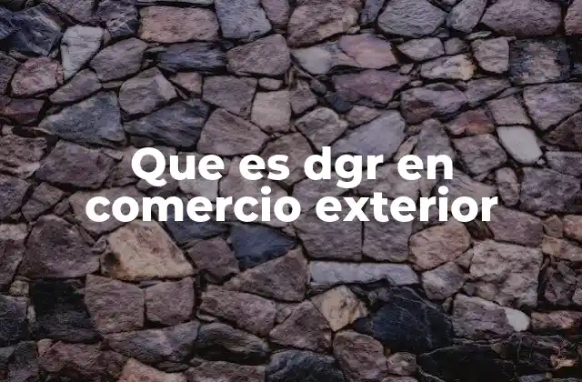 Que es Dgr en Comercio Exterior 2 El papel de las garantías en el comercio internacional