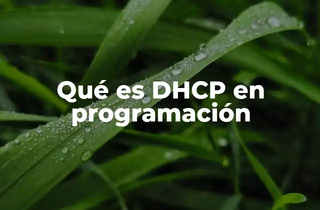 Qué es Dhcp en Programación