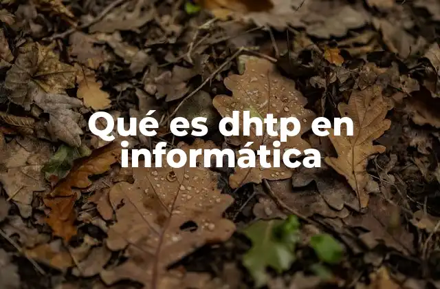 Qué es Dhtp en Informática
