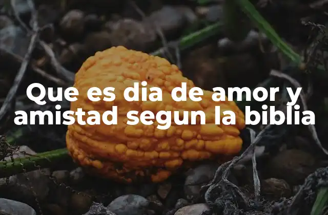 Que es Dia de Amor y Amistad Segun la Biblia