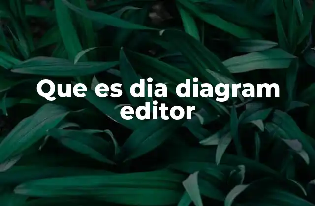Que es Dia Diagram Editor