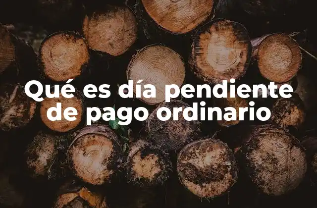 Qué es Día Pendiente de Pago Ordinario